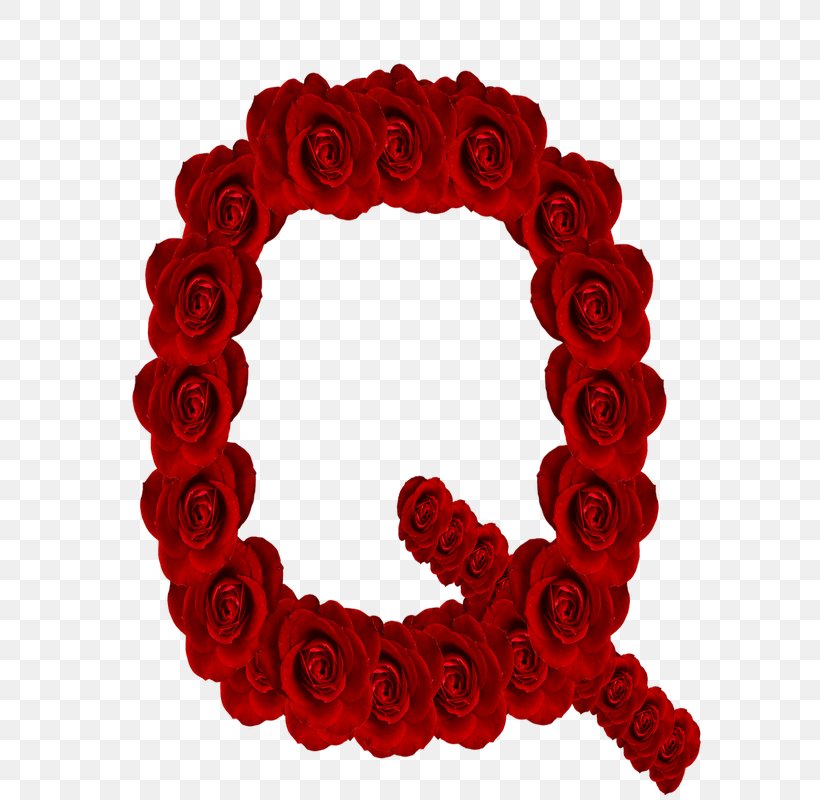 Garden Roses Letter Case Alphabet Lettering, PNG, 800x800px, Garden Roses, Alphabet, Bet, Calligraphy, Cut Flowers Download Free