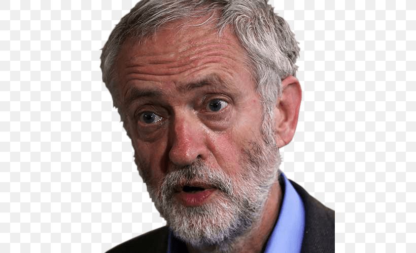 Jeremy Corbyn Labour Party (UK) Leadership Election, 2016 Leader Of The Labour Party Prime Minister's Questions, PNG, 500x500px, Jeremy Corbyn, Beard, Cheek, Chin, Ear Download Free