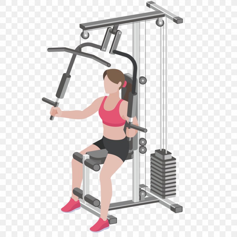 Physical Exercise Physical Fitness Euclidean Vector Weight Loss Muscle, PNG, 1500x1500px, Physical Exercise, Arm, Beauty, Designer, Exercise Equipment Download Free