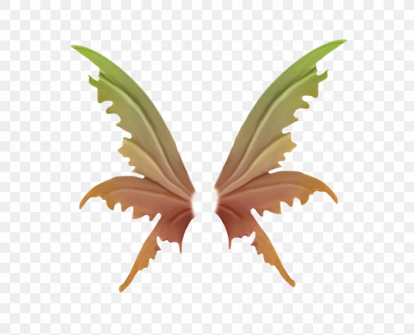 Wing, PNG, 889x719px, Wing, Animation, Butterfly, Feather, Insect Download Free