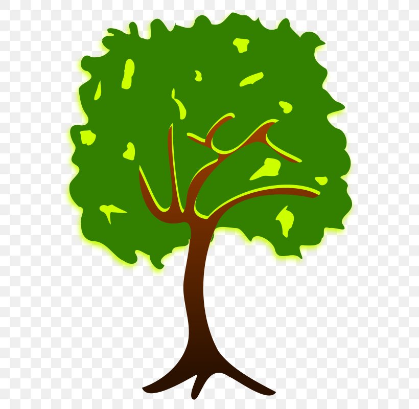Clip Art, PNG, 800x800px, Tree, Art, Branch, Drawing, Grass Download Free