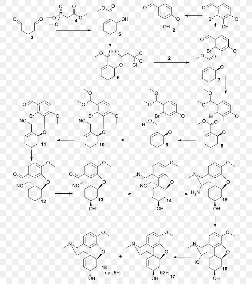 Galantamine Total Synthesis Chemical Synthesis Total Synthesis Of Morphine And Related Alkaloids, PNG, 758x921px, Galantamine Total Synthesis, Amine, Area, Biosynthesis, Black Download Free