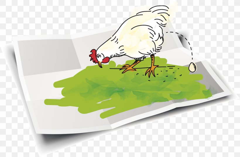 Chicken Garden House Egg, PNG, 1000x654px, Chicken, Ankle, Beak, Bird, Cartoon Download Free