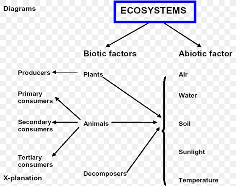 Ecosystem Ecology Document Decomposer Limiting Factor, PNG, 796x646px, Ecosystem, Area, Decomposer, Definition, Diagram Download Free