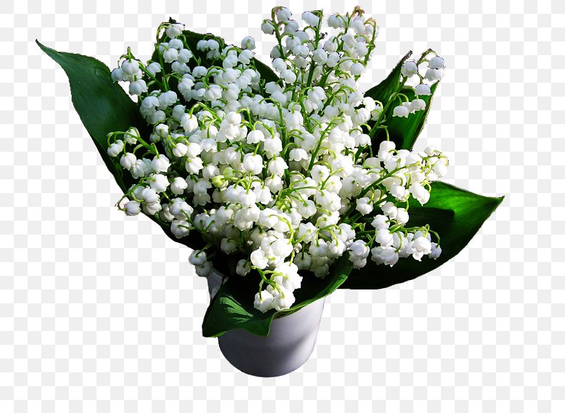 Lily Of The Valley Cut Flowers Floral Design Flower Bouquet, PNG, 800x599px, Lily Of The Valley, Blog, Bud, Cut Flowers, Diary Download Free