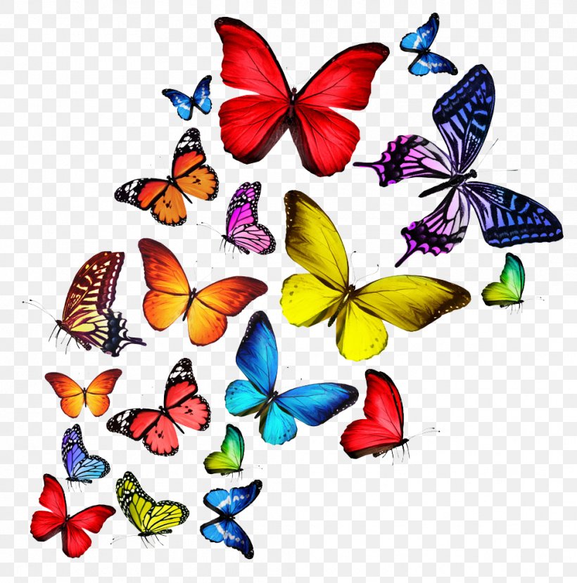 Butterfly T-shirt Stock Photography Wallpaper, PNG, 989x1000px, Butterfly, Artwork, Brush Footed Butterfly, Color, Coloring Book Download Free
