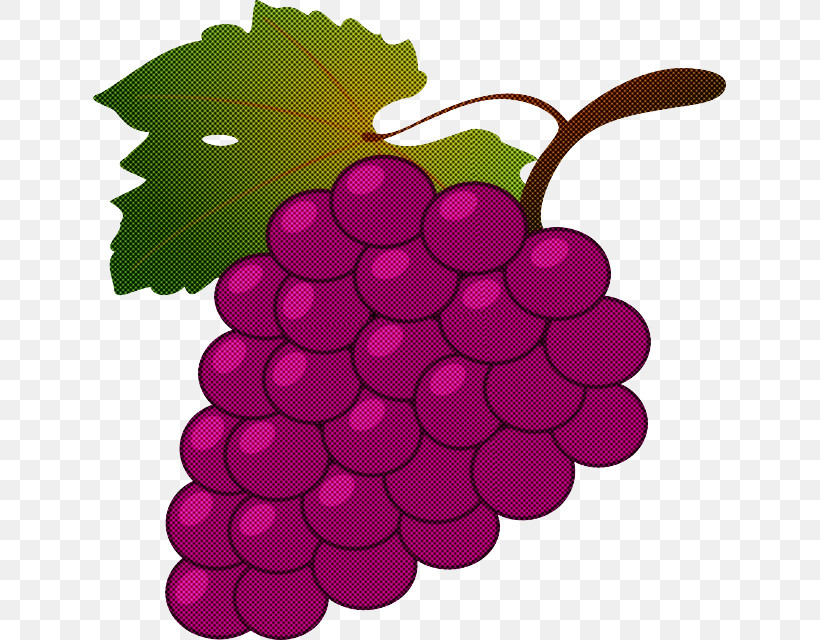 Grape Seedless Fruit Grapevine Family Vitis Plant, PNG, 633x640px, Grape, Fruit, Grape Leaves, Grapevine Family, Leaf Download Free