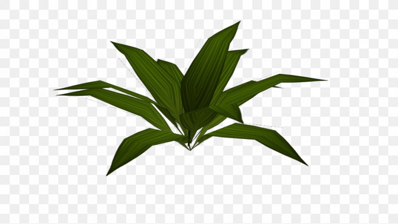 Leaf Plant Stem, PNG, 960x540px, Leaf, Flowerpot, Grass, Plant, Plant Stem Download Free