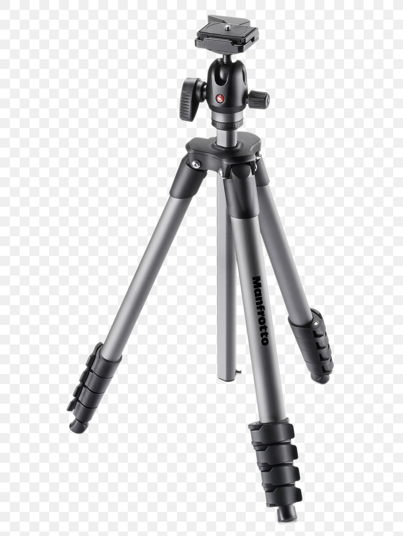 Manfrotto Compact Advanced Tripod With Quick Release Ball Head Manfrotto Compact Advanced Tripod With Quick Release Ball Head, PNG, 593x1089px, Manfrotto, Ball Head, Camera, Camera Accessory, Digital Slr Download Free