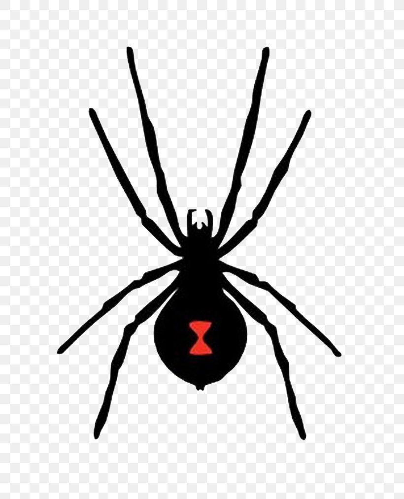 Spider-Man Western Black Widow, PNG, 789x1013px, Spider, Arachnid, Arthropod, Black Widow, Insect Download Free