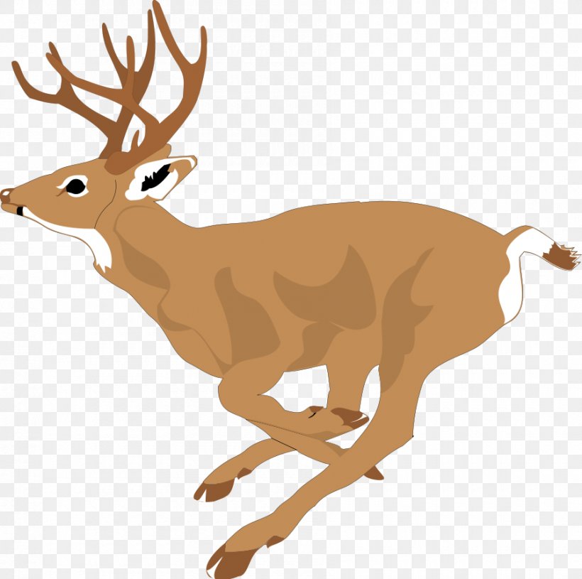 White-tailed Deer Clip Art, PNG, 900x895px, Deer, Antler, Deer Hunting, Drawing, Elk Download Free