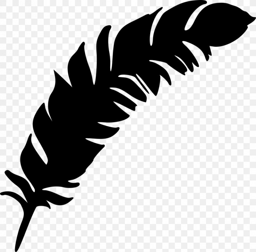 Clip Art Feather Leaf Plant Stem Beak, PNG, 850x840px, Feather, Beak, Blackandwhite, Botany, Claw Download Free