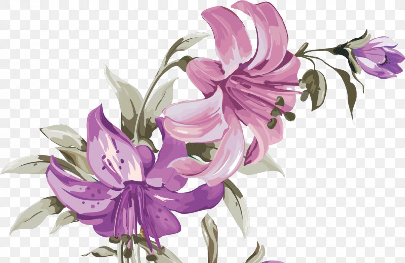 Cut Flowers Lilium, PNG, 1235x803px, Flower, Cut Flowers, Drawing, Flora, Floral Design Download Free