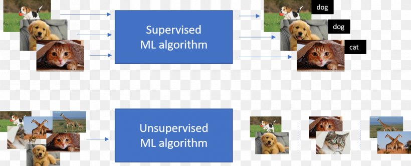 Machine Learning Unsupervised Learning Algorithm, PNG, 1243x503px, Machine Learning, Algorithm, Artificial Intelligence, Cluster Analysis, Communication Download Free