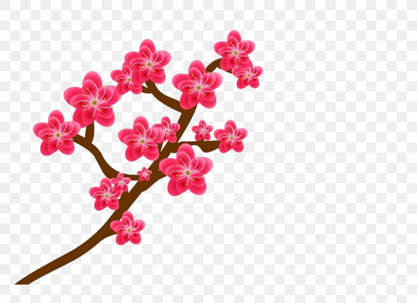 Plum Blossom Flower, PNG, 1559x1134px, Plum, Animation, Blossom, Branch, Cherry Blossom Download Free