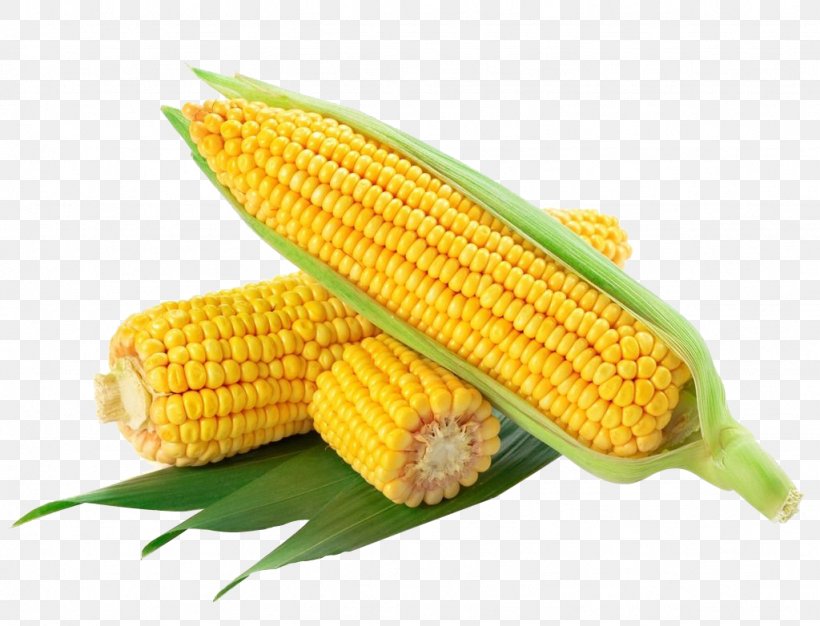 Waxy Corn Flint Corn Corn On The Cob Sweet Corn Maize, PNG, 1024x782px, Waxy Corn, Commodity, Corn Kernel, Corn Kernels, Corn On The Cob Download Free