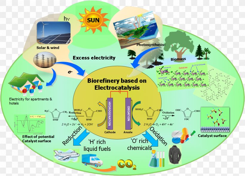 Biomass Chemistry Berlin Institute Of Technology Technische Chemie Nanoparticle, PNG, 1307x938px, Biomass, Area, Berlin Institute Of Technology, Catalisador, Catalysis Download Free