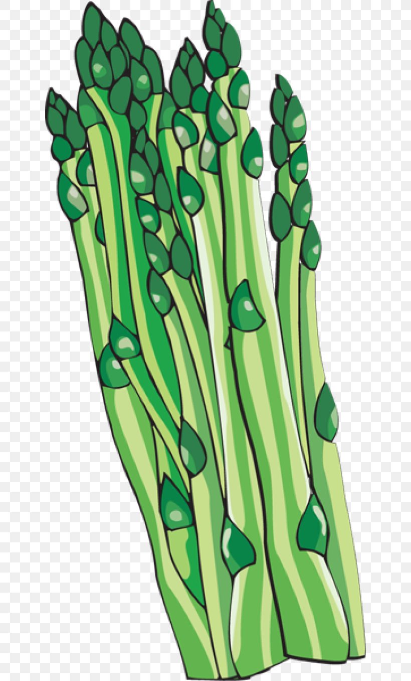 Bunch Of Asparagus Vegetable Clip Art, PNG, 640x1356px, Bunch Of Asparagus, Asparagus, Commodity, Finger, Food Download Free