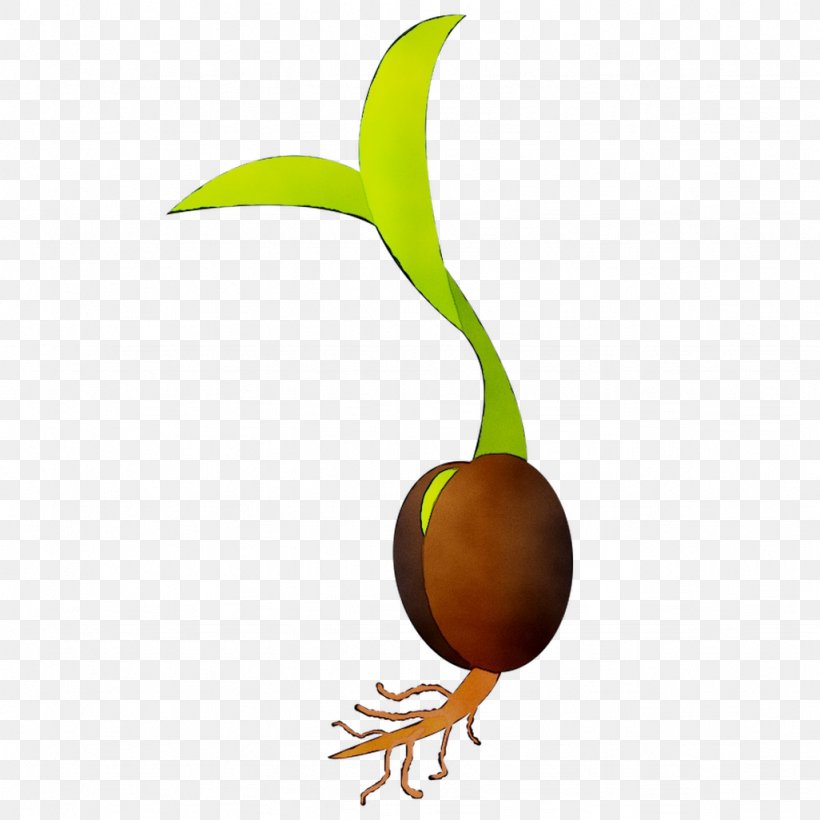 Earth Clip Art Fruit Plant Stem Grave, PNG, 1026x1026px, Earth, August 10, Botany, Caskets, Flower Download Free