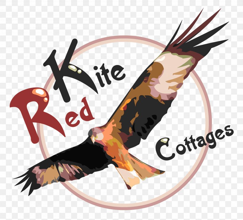 Red Kite Cottages Ltd Illustration Graphics Image, PNG, 2964x2691px, Cottage, Beak, Bird, Bird Of Prey, Holiday Home Download Free