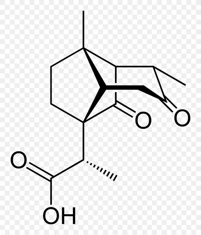 Aspartic Acid Proteinogenic Amino Acid Asparagine Amine, PNG, 938x1100px, Aspartic Acid, Acid, Alanine, Amine, Amino Acid Download Free