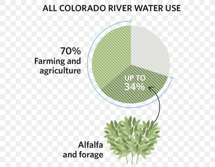 Colorado River Water Food, PNG, 600x639px, Colorado River, Agriculture, Brand, Colorado, Decomposition Download Free