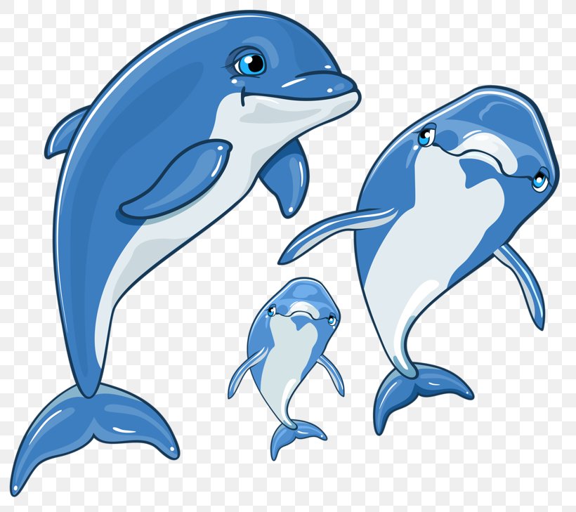 Dolphin Cartoon, PNG, 800x729px, Dolphin, Animal Figure, Blog, Bottlenose Dolphin, Cetacea Download Free