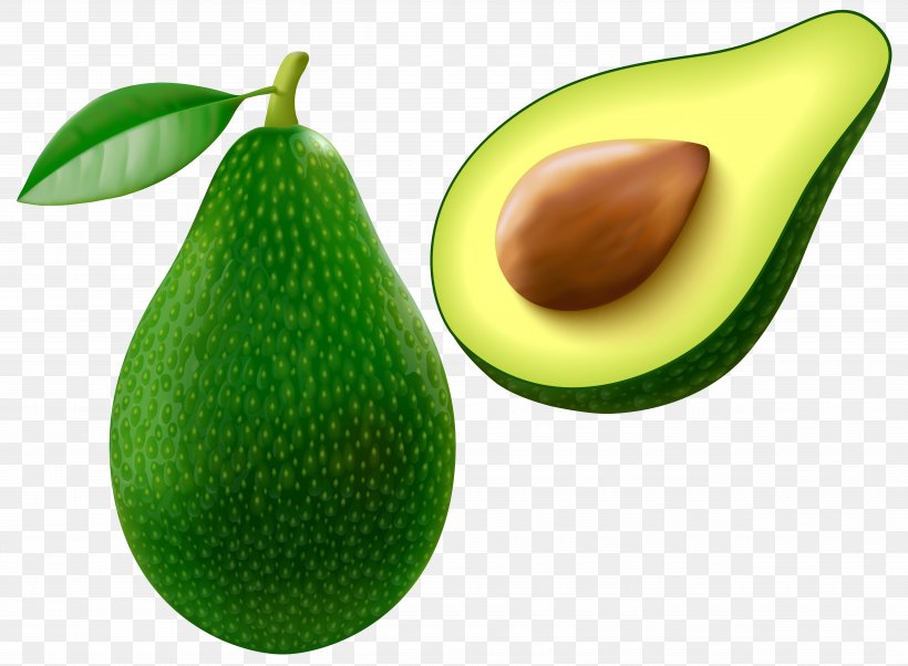 Avocado Clip Art, PNG, 5000x3671px, Hass Avocado, Avocado, Avocado Salad, Food, Fruit Download Free