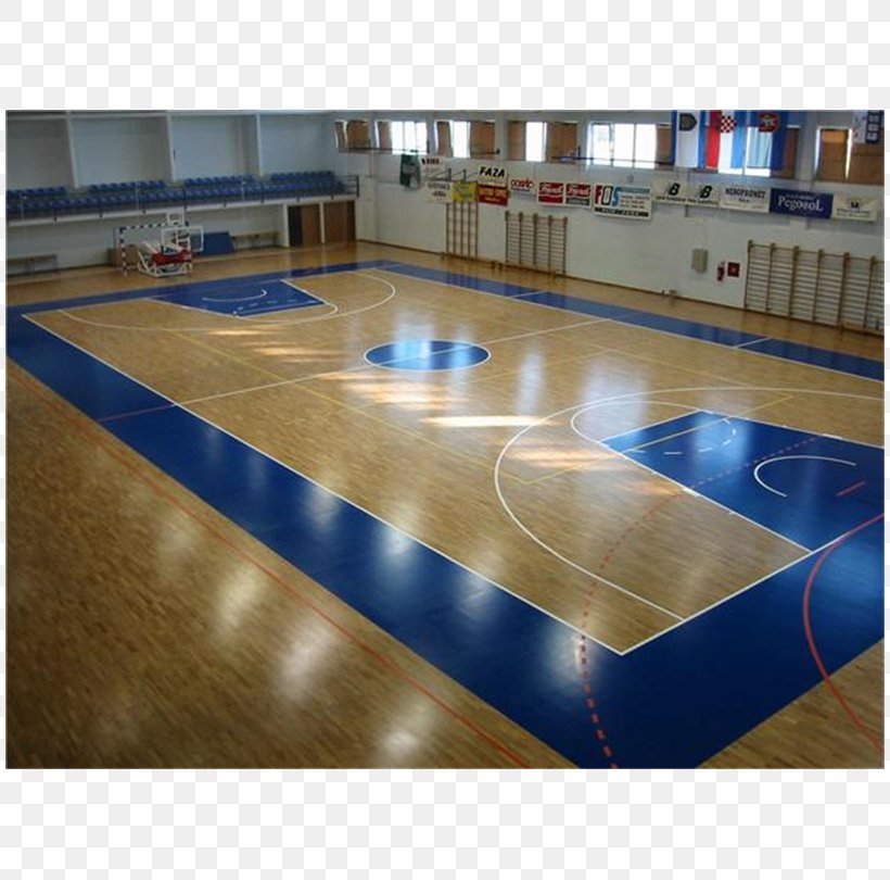 Floor Arena Sport Hall Thane, PNG, 810x810px, Floor, Arena, Basketball Court, Blue, Fitness Centre Download Free