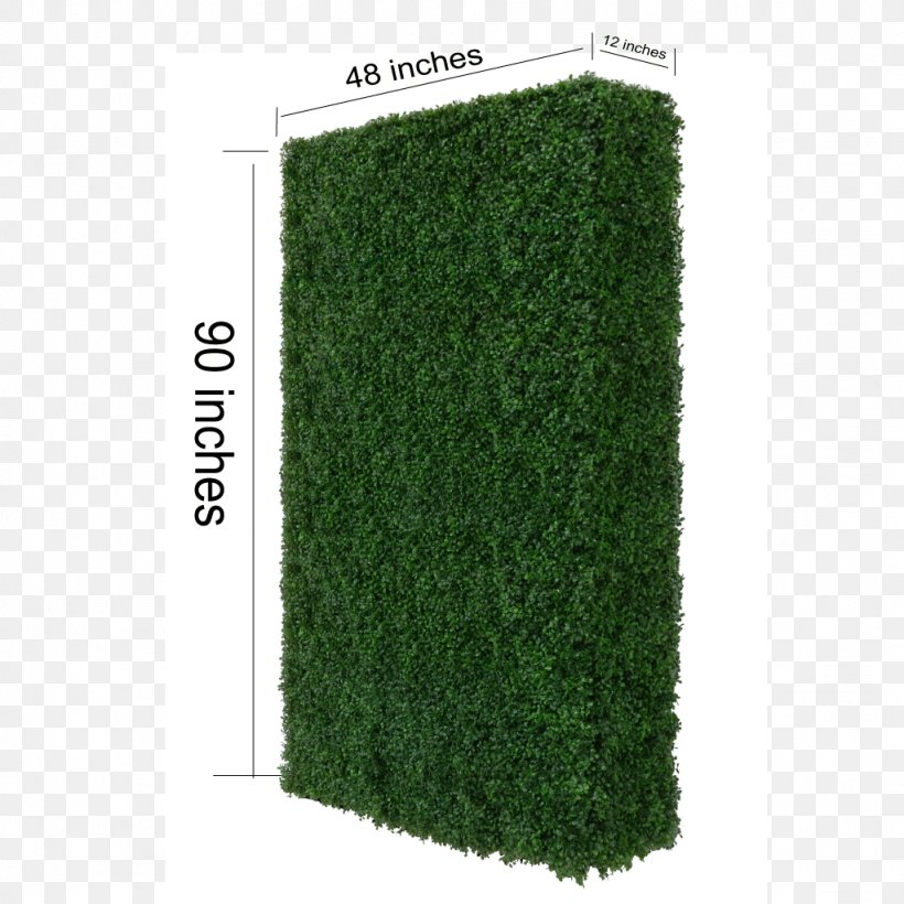 Hedge Rectangle, PNG, 1024x1024px, Hedge, Grass, Green, Plant, Rectangle Download Free