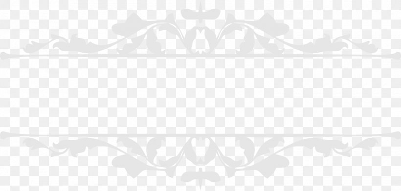 Product Design Graphics Font Pattern, PNG, 1500x717px, White, Black And White, Petal, Rectangle, Text Download Free