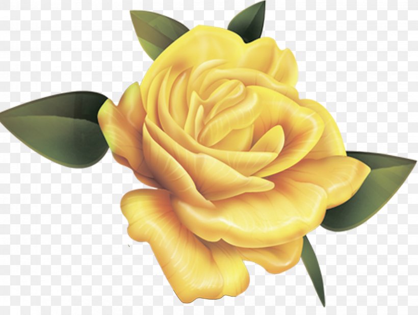 Rose Desktop Wallpaper Yellow Valentine's Day, PNG, 2862x2159px, Rose, Blue Rose, Color, Cut Flowers, Flower Download Free