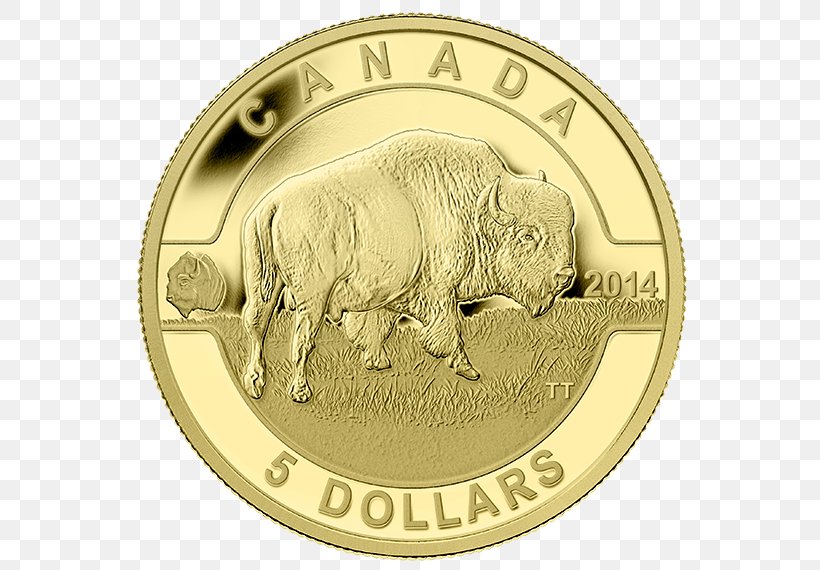 Canada Royal Canadian Mint Gold Coin, PNG, 570x570px, Canada, Bullion, Bullion Coin, Canadian Gold Maple Leaf, Coin Download Free