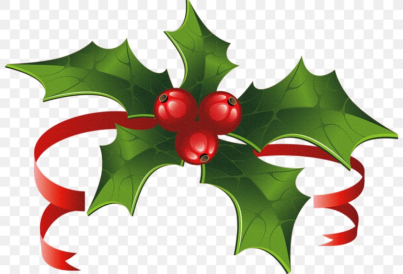 Christmas Day Vector Graphics Christmas Decoration Stock Photography Design, PNG, 800x558px, Christmas Day, Aquifoliaceae, Aquifoliales, Art, Christmas Decoration Download Free