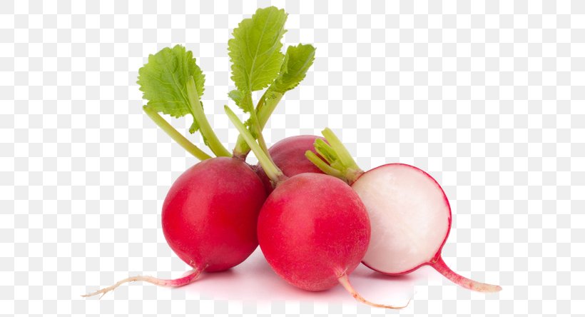 Daikon Stock Photography Variety Root Vegetables, PNG, 640x444px, Daikon, Beet, Beetroot, Berry, Carrot Download Free