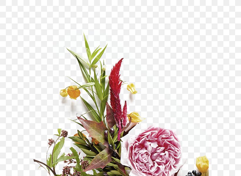 Flower Paper Photography Petal, PNG, 600x600px, Flower, Artificial Flower, Cut Flowers, Flora, Floral Design Download Free