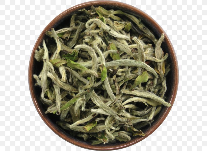 Hōjicha Nilgiri Tea Baihao Yinzhen Longjing Tea White Tea, PNG, 598x600px, Hojicha, Bai Mudan, Baihao Yinzhen, Bancha, Biluochun Download Free