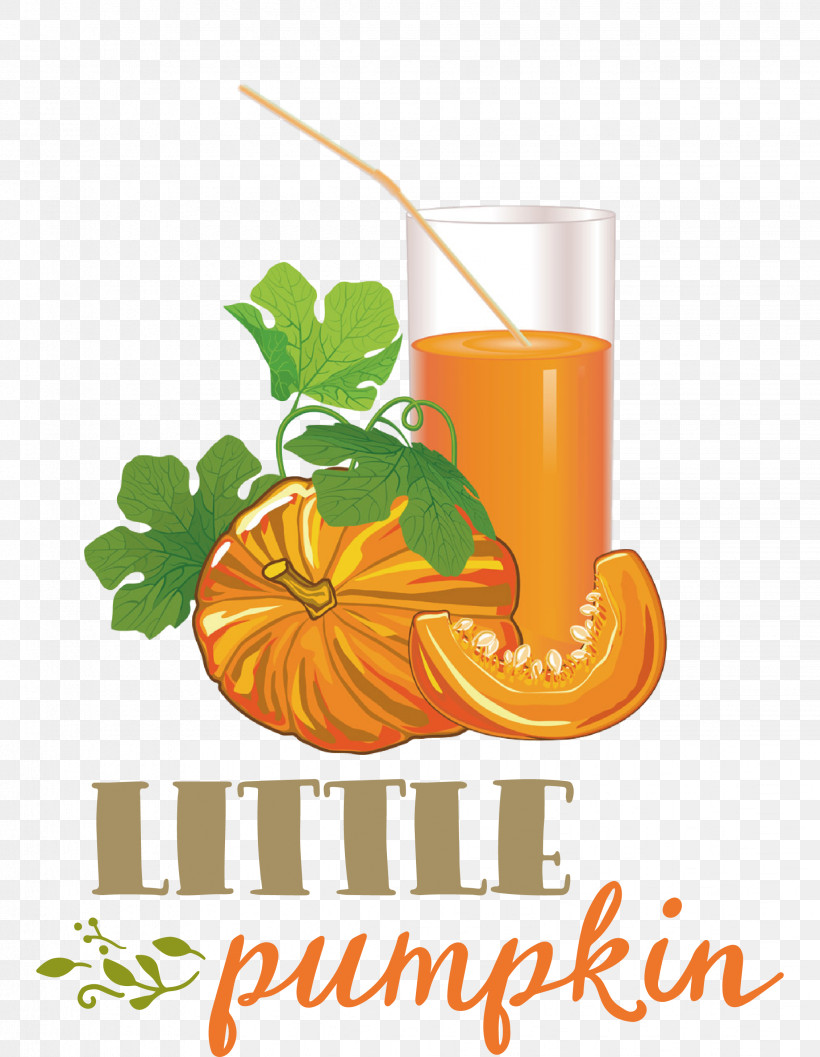 Little Pumpkin Thanksgiving Autumn, PNG, 2263x2918px, Little Pumpkin, Autumn, Drawing, Fruit, Juice Download Free