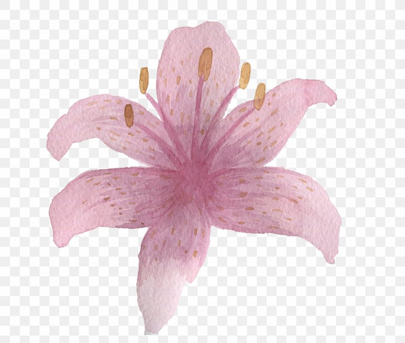 Pink Flower, PNG, 1881x1595px, Pink, Color, Designer, Flower, Gratis Download Free