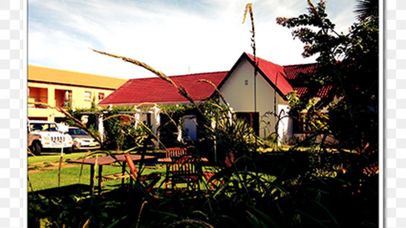 The Willow Tree Guest House Everwood Guesthouse Villa De La Rosa Accommodation, PNG, 1366x768px, Guest House, Accommodation, Canopy, Cottage, Home Download Free