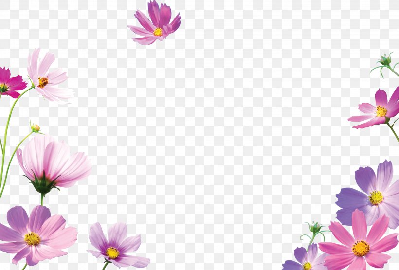 Picture Frames Desktop Wallpaper, PNG, 3189x2162px, Picture Frames, Annual Plant, Blossom, Child, Cosmos Download Free