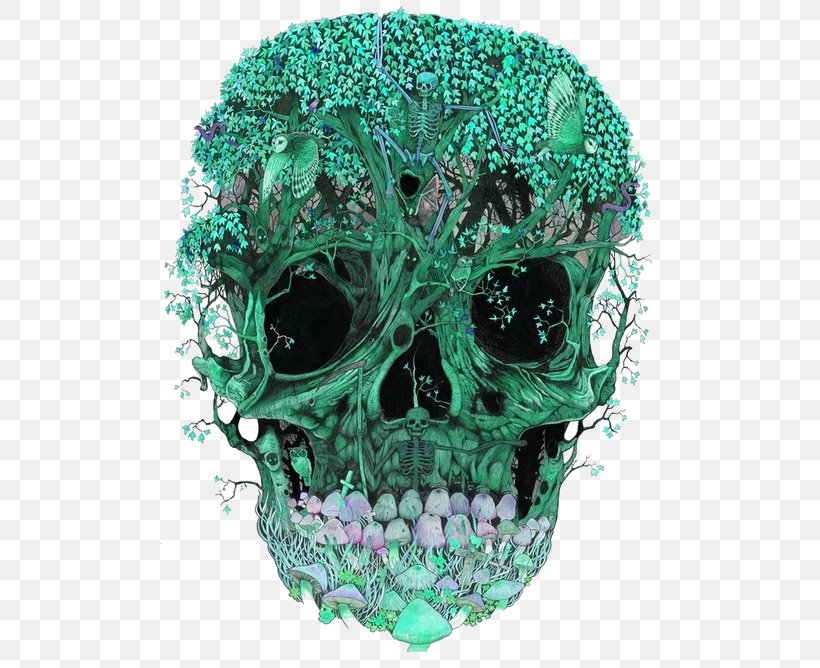 Skull Art Calavera Lysergic Acid Diethylamide Skeleton, PNG, 500x668px, Skull, Bone, Calavera, Day Of The Dead, Drawing Download Free