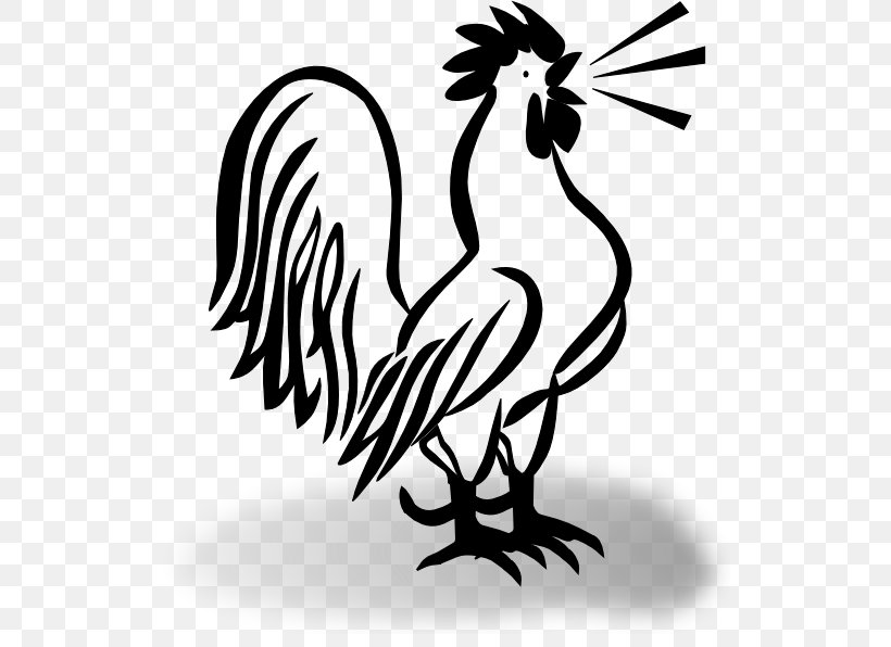 Chicken Zazzle Rooster Clip Art, PNG, 540x596px, Chicken, Artwork, Beak, Bird, Black And White Download Free