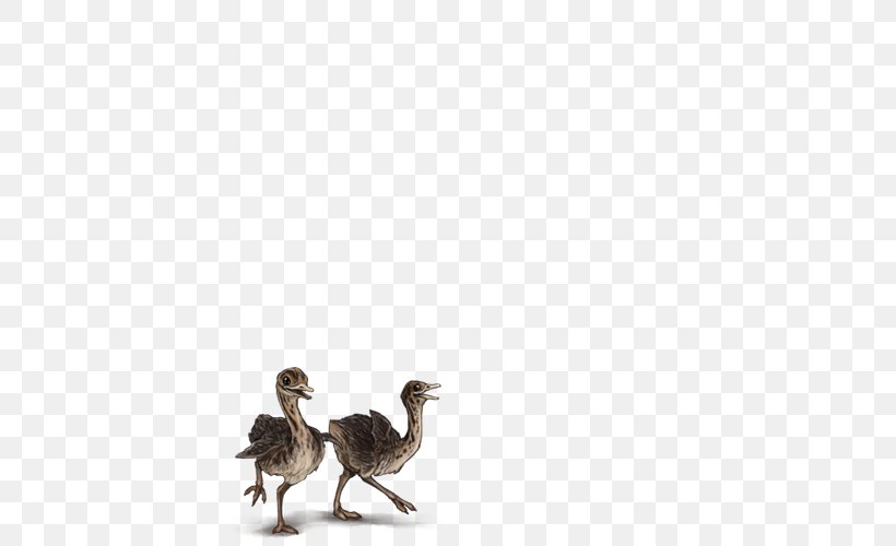 Duck Water Bird Chicken Flightless Bird, PNG, 640x500px, Duck, Anatidae, Animal, Beak, Bird Download Free