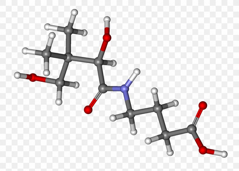 Hopantenic Acid Pharmaceutical Drug Gamma-Aminobutyric Acid Pantothenic Acid Depressant, PNG, 1920x1377px, Hopantenic Acid, Acid, Ballandstick Model, Body Jewelry, Calcium Download Free