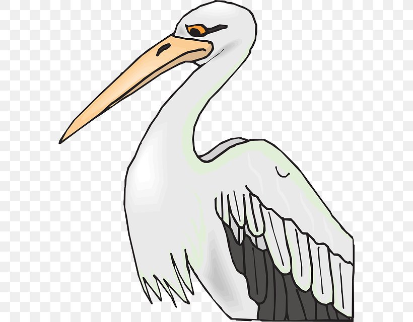 Bird Brown Pelican American White Pelican Coloring Book Clip Art, PNG, 588x640px, Bird, American White Pelican, Artwork, Beak, Brown Pelican Download Free