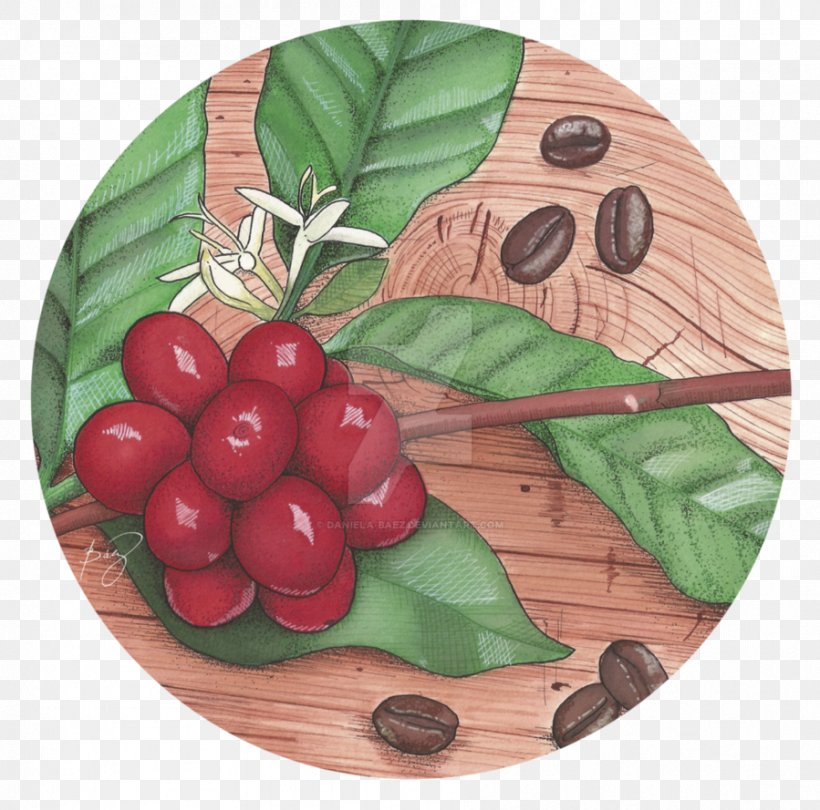 Cranberry Arabica Coffee Art Deco, PNG, 899x889px, Cranberry, Arabica Coffee, Art, Art Deco, Berry Download Free