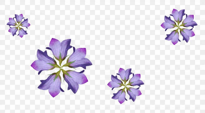Cut Flowers French Hydrangea Shimoda Garden Roses, PNG, 2091x1156px, Cut Flowers, Artificial Flower, Blue, Flower, Flower Bouquet Download Free