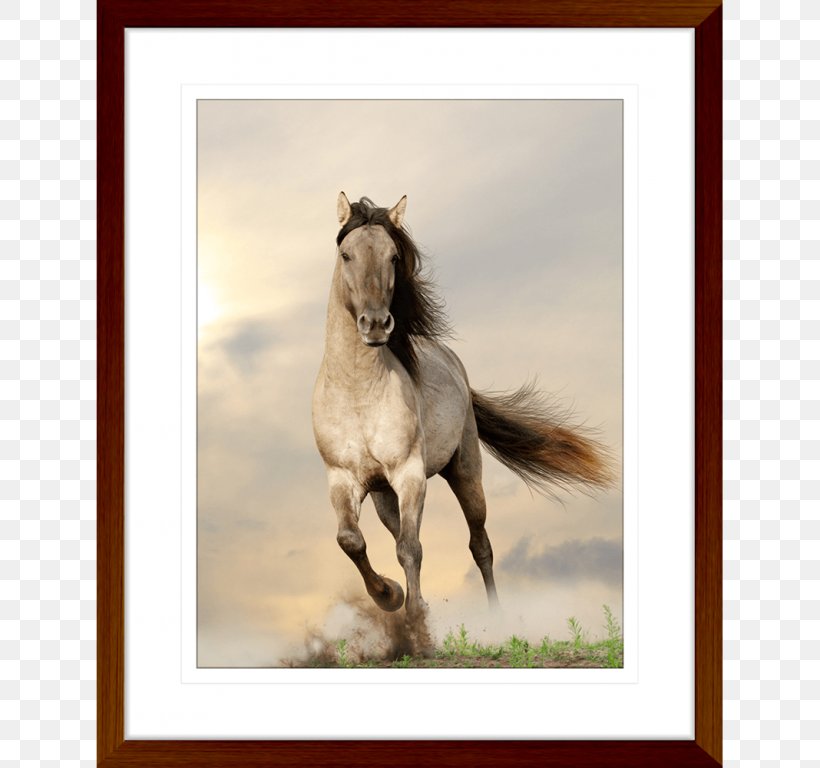 Horse Paper Stallion Tarpan Photography, PNG, 768x768px, Horse, Black, Bridle, Colt, Fauna Download Free