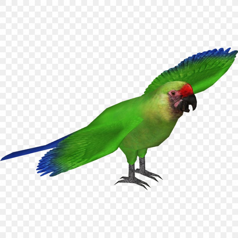 Military Macaw Parrot Blue-headed Macaw Scarlet Macaw, PNG, 964x964px, Macaw, Beak, Bird, Blueandyellow Macaw, Blueheaded Macaw Download Free